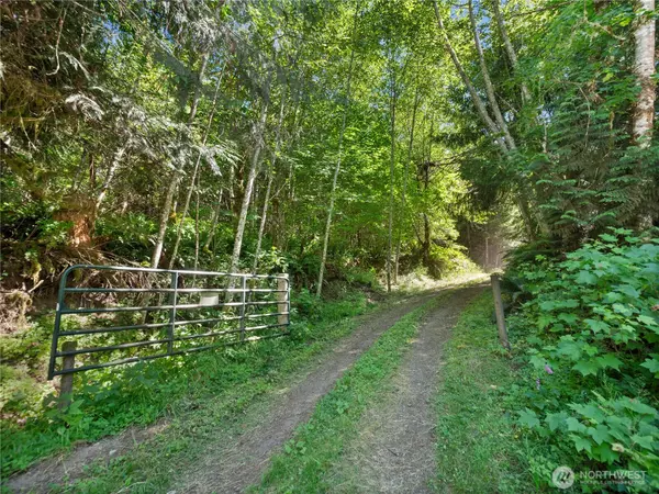 Randle, WA 98377,2 Skinner RD