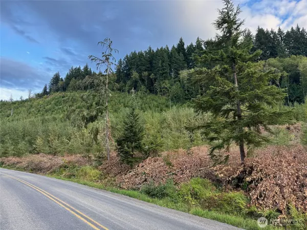 Randle, WA 98377,4 Skinner RD