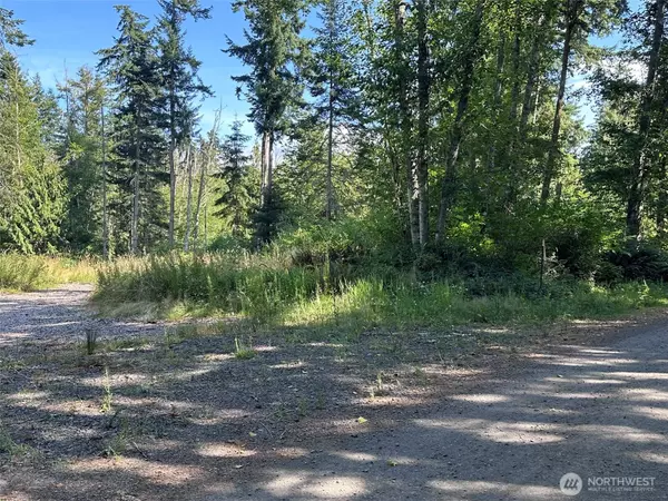 Sequim, WA 98382,144 Took A Look LN