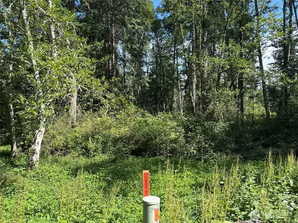 Sequim, WA 98382,144 Took A Look LN