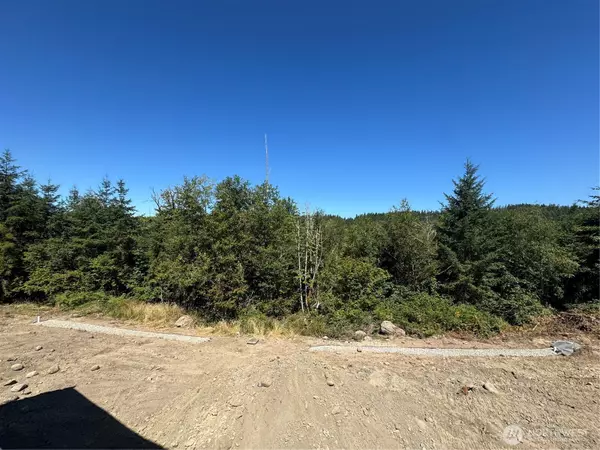 Eatonville, WA 98328,3125 403rd ST E