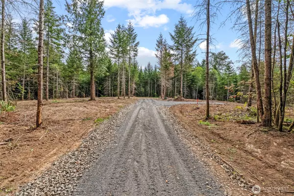 Castle Rock, WA 98611,1792 Spirit Lake HWY #Lot 2