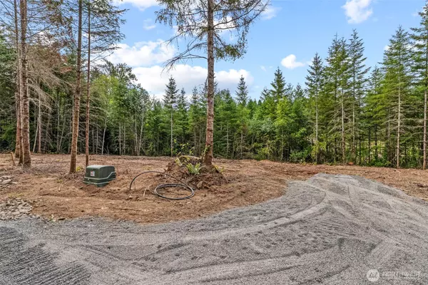 Castle Rock, WA 98611,1792 Spirit Lake HWY #Lot 3