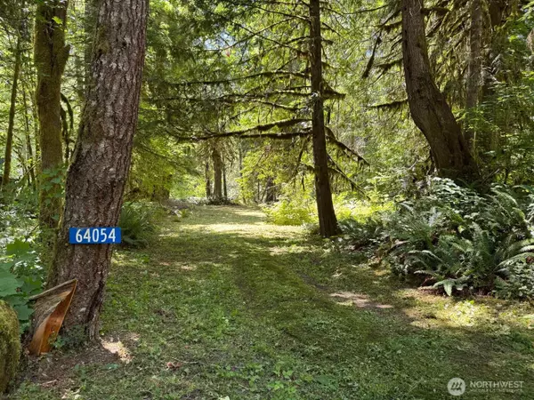 Marblemount, WA 98267,64054 E Cascade DR