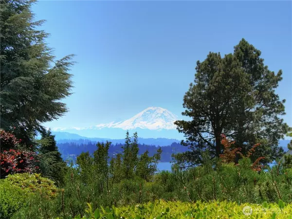 Seattle, WA 98105,5715 63rd AVE NE