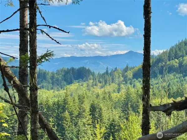 Eatonville, WA 98328,49923 146th AVE E