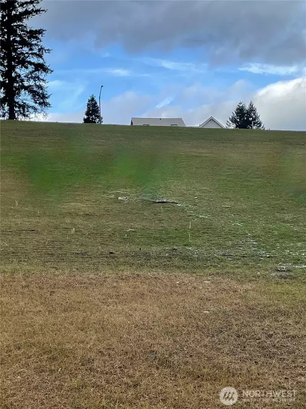 Skamania, WA 98648,145 Upper Basso CIR