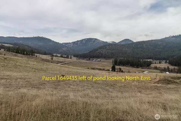 Rice, WA 99167,3600 Block Beck RD