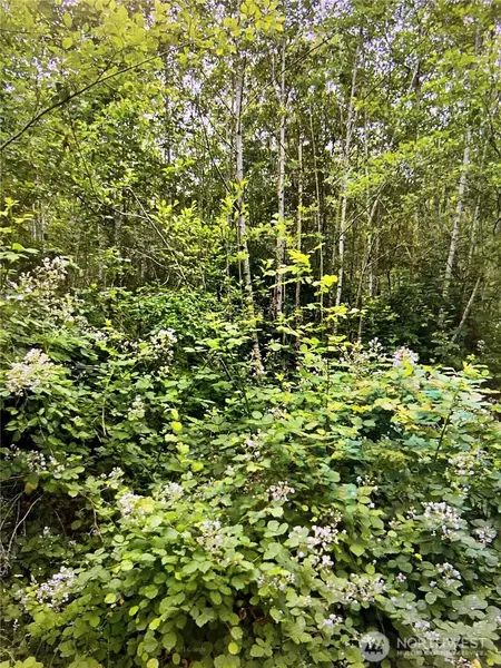 7716 7632 Manzanita DR NW, Olympia, WA 98502