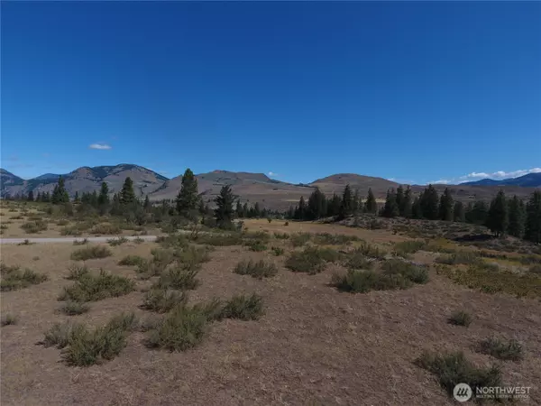Winthrop, WA 98862,1 Perrow DR