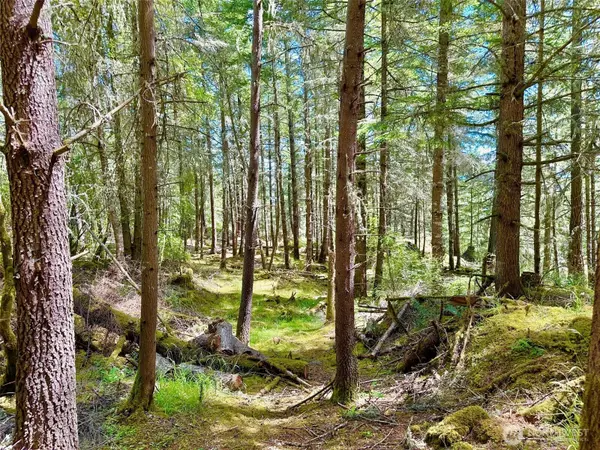 Orcas Island, WA 98279,0 Lot B Pioneer Hill RD
