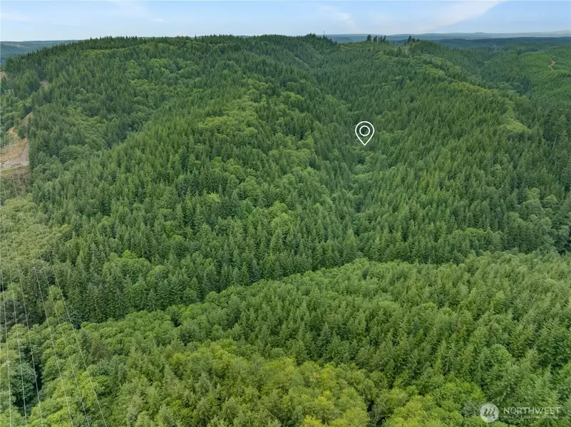 0 000 Copland RD, Aberdeen, WA 98520