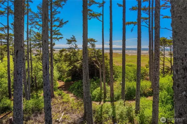 Pacific Beach, WA 98571,34 Seaside LN