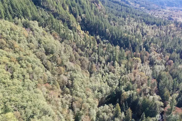 Index, WA 98526,0 Index Galina RD