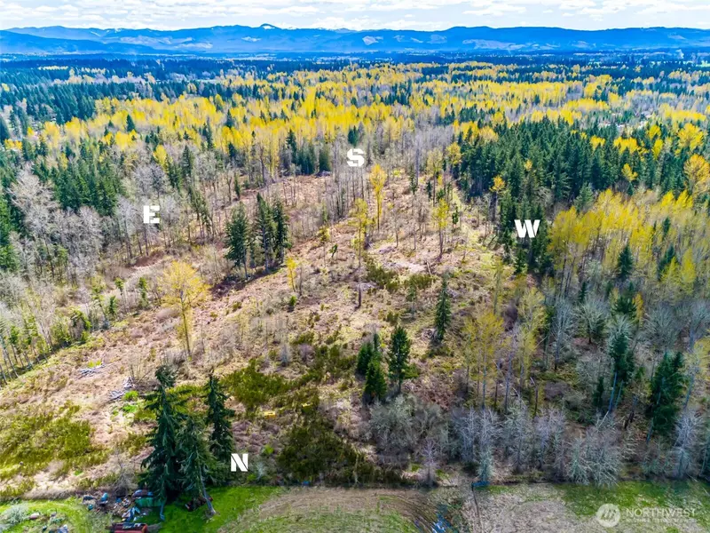 0 40th AVE S, Roy, WA 98580