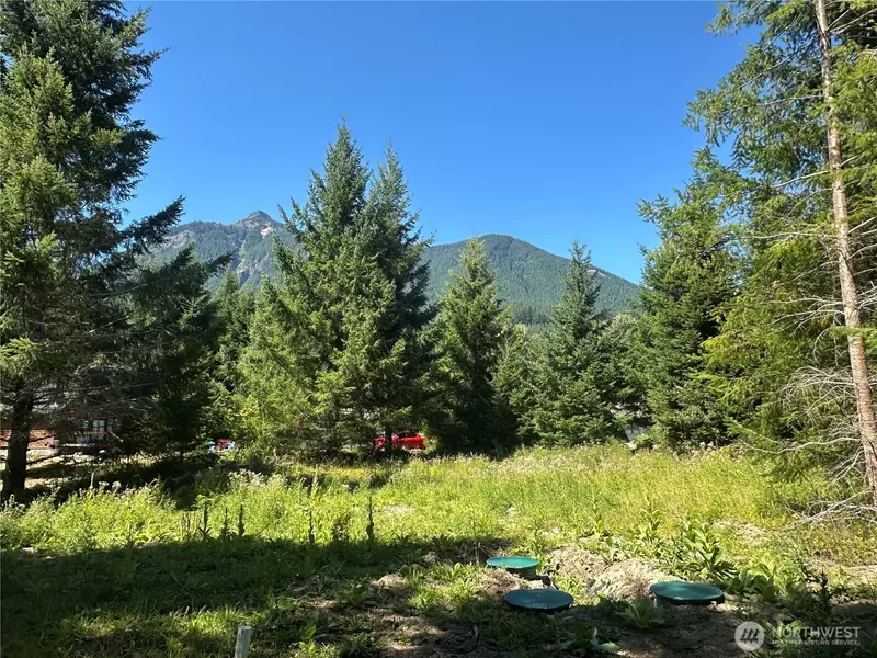 109 Jack Fir CT W, Packwood, WA 98361