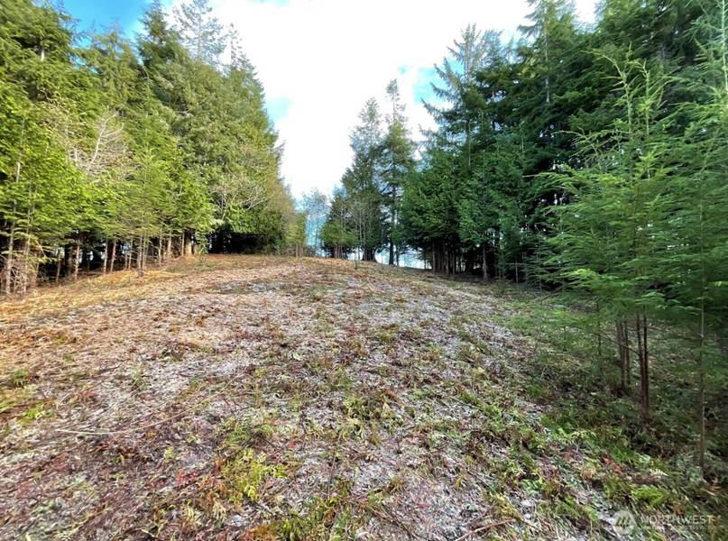 29 Spruce CT, South Bend, WA 98586