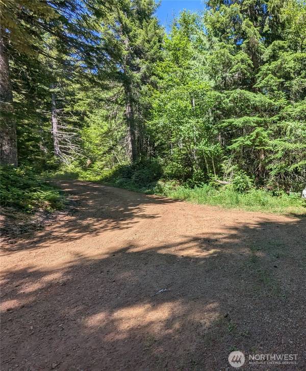111 Dow Mtn RD, Hoodsport, WA 98548