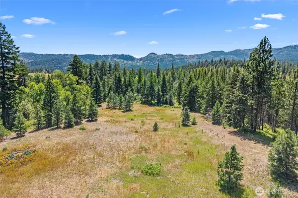 Chewelah, WA 99109,0 Dry Creek RD #Lot 1