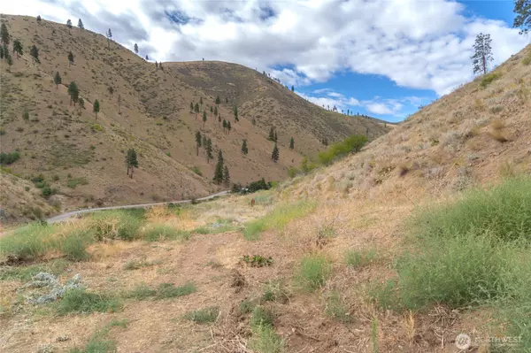 Entiat, WA 98822,5058 Mills Canyon RD