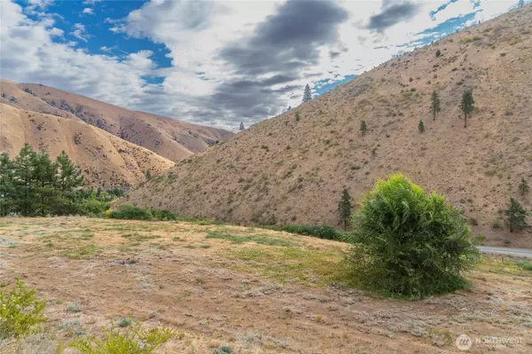 Entiat, WA 98822,5058 Mills Canyon RD