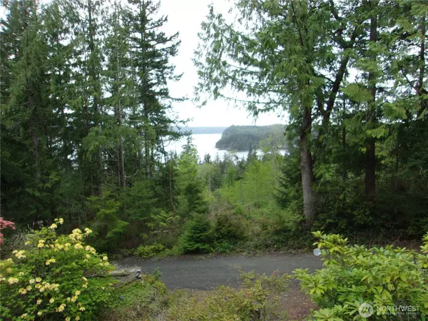 Brinnon, WA 98320,222 Towhee LN