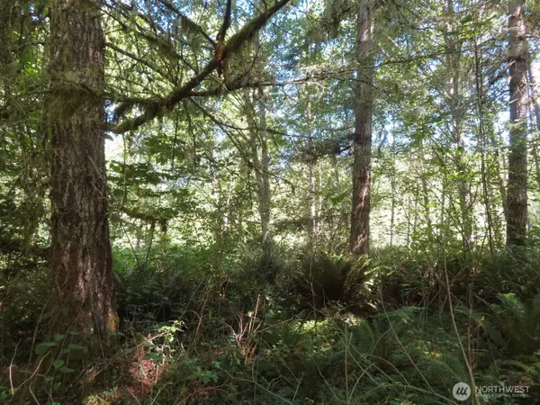 Mossyrock, WA 98564,0 Salmon Creek RD