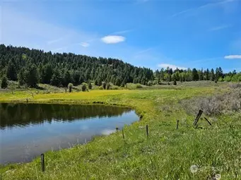 Oroville, WA 98844,166 Mary Ann Creek RD