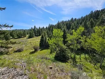 Oroville, WA 98844,166 Mary Ann Creek RD