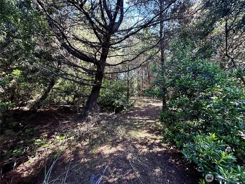 361 S Wynoochee DR SW, Ocean Shores, WA 98569