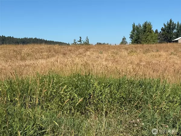 Cle Elum, WA 98922,61 Tetons LN