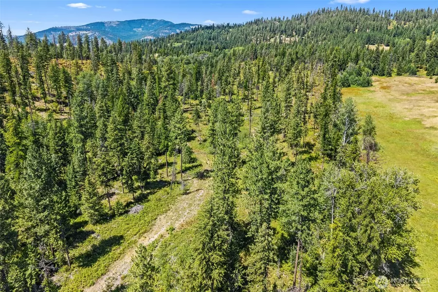 0 Dry Creek RD #Lot 2, Chewelah, WA 99109