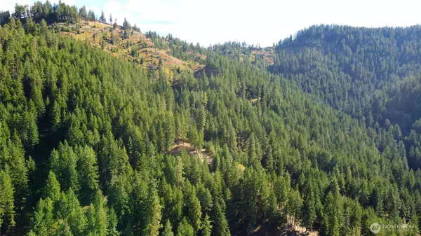 Cashmere, WA 98815,0 Brisky Canyon