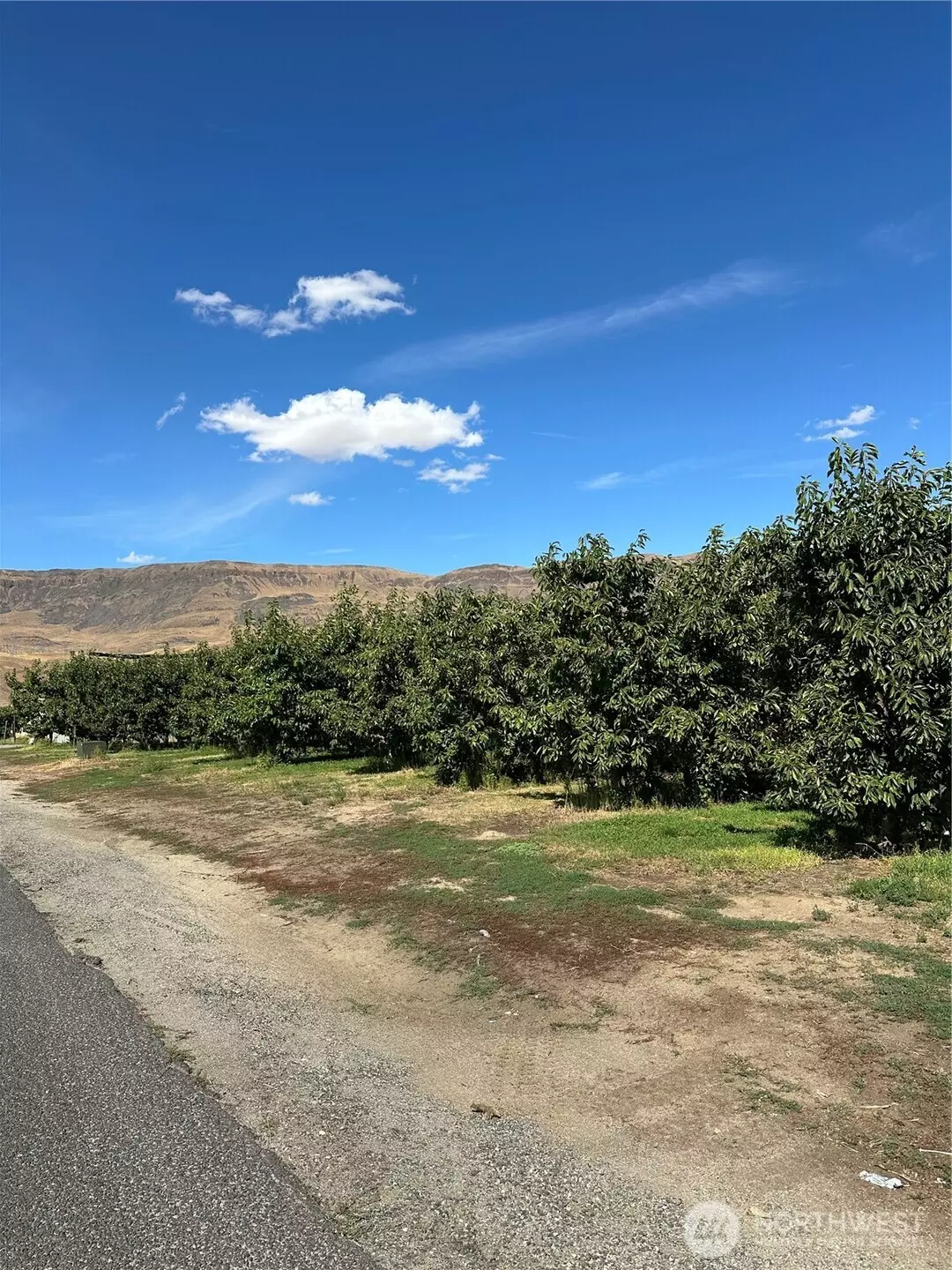 East Wenatchee, WA 98802,583 S Webb AVE