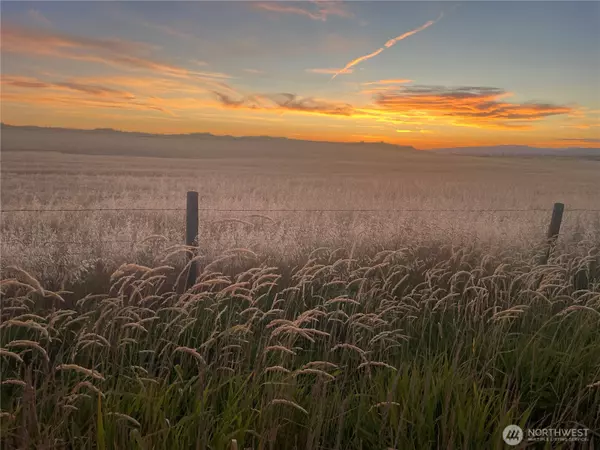 Reardan, WA 99029,35251 Crescent RD N #1