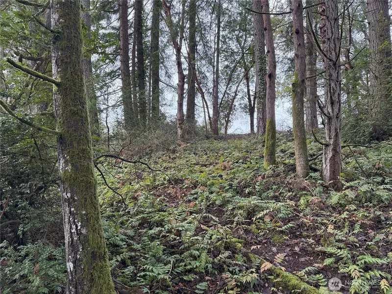 7719 Rosedale ST NW, Gig Harbor, WA 98335