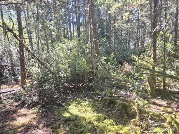 Ocean Shores, WA 98569,735 Pennisula CT SE