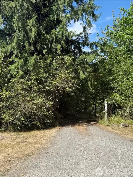 3925 Harts Lake RD S, Roy, WA 98580