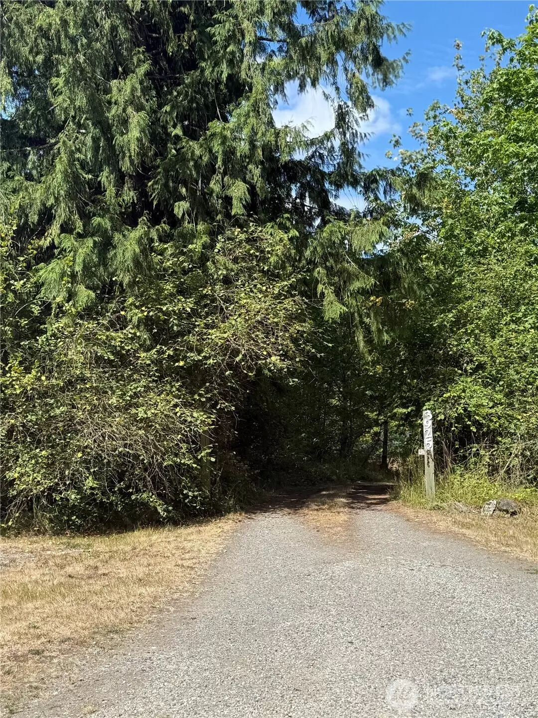 Roy, WA 98580,3925 Harts Lake RD S