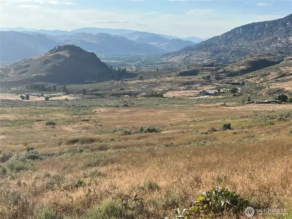 Oroville, WA 98844,0 TBD Airport Pickens Mtn RD