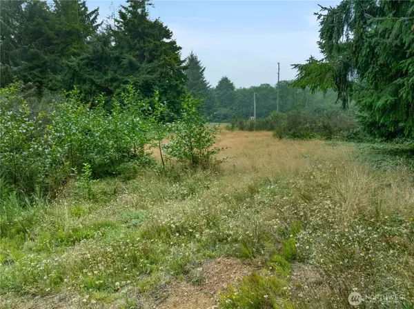 Hoquiam, WA 98550,46 Sunset BLVD