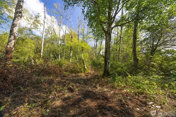 Ferndale, WA 98248,0 xxx Brown RD