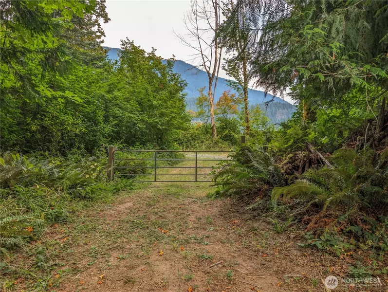 167 Burton Creek RD, Randle, WA 98377