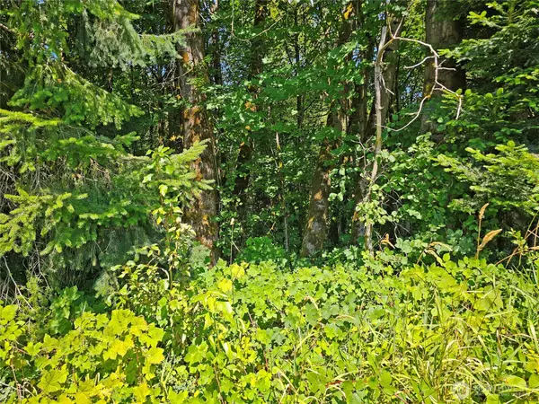 Rochester, WA 98579,12624 183rd AVE SW