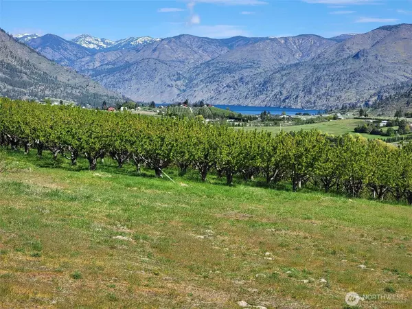 Manson, WA 98831,0 lots 5&6 Milan ST