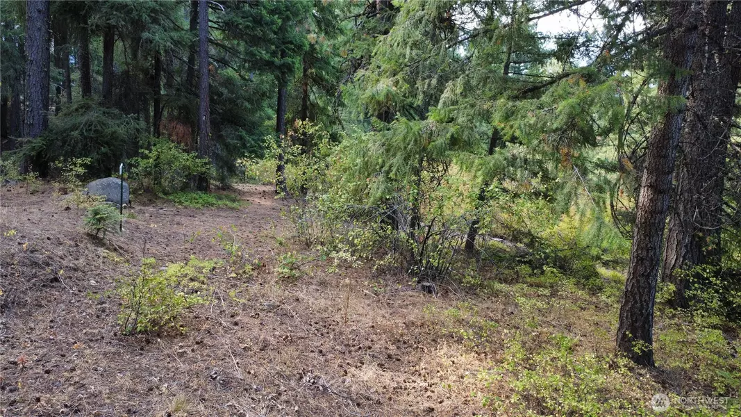 0 Highland LOOP, Ronald, WA 98940