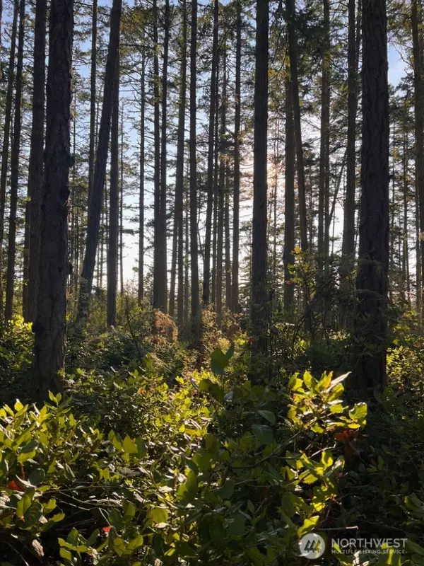 Lopez Island, WA 98261,3 LOT Pavey Boulevard