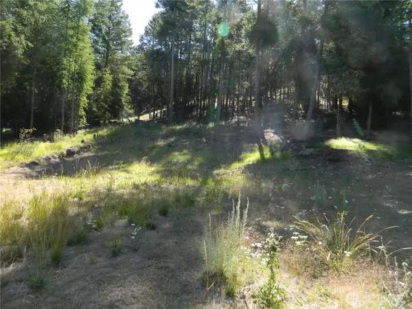 Tonasket, WA 98855,0 TBD Snowbunny Ridge DR