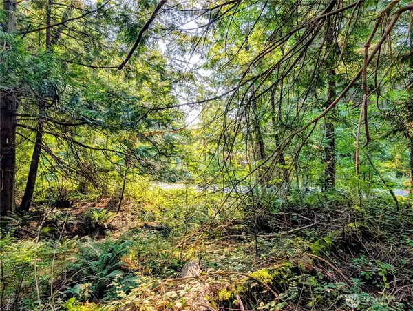 Point Roberts, WA 98281,2 Mill RD