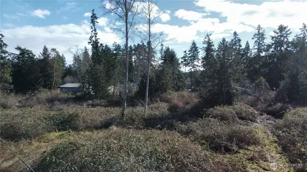 Port Hadlock, WA 98339,1210 Irondale RD